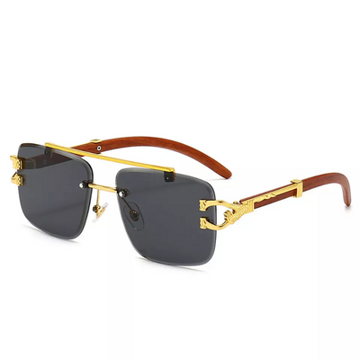 Les lunettes de classes polarisées